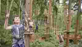 Boy on a treetop adventure course, wearing a harness, surrounded by trees. Others are on similar platforms in the background, enjoying the activity.