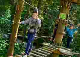 Two children navigate a wooden rope bridge in a forest adventure park, wearing safety harnesses.