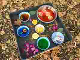 A tray with colorful bowls of liquid, lemon slices, and flower petals, sits on autumn leaves.