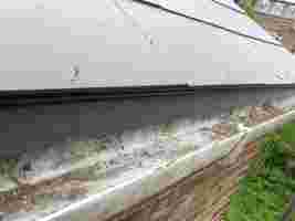 Eave trays install to gutter makes a tidier finish at the eaves level and stops undersarking rot at the bottom of the roof.