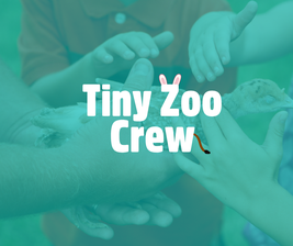 A child petting a small bird held by an adult, with the text "Tiny Zoo Crew" prominently displayed.