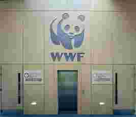 WWF Content Guru Auditorium