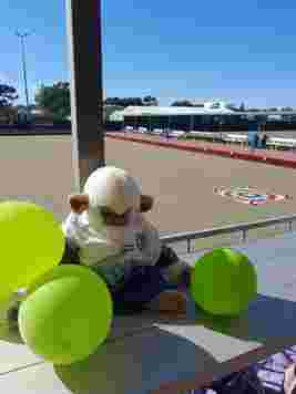 Plush toy dressed in sportswear with green balloons at a bowling green on a sunny day, surrounded by benches and equipment.