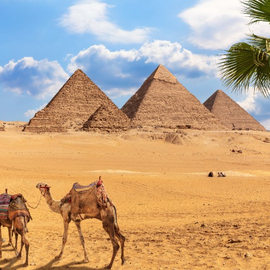Dovolená v Egyptě - pyramidy a velbloudi