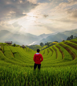 cestovni-pojisteni-letni-brigada