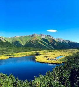Vysoké Tatry - pleso