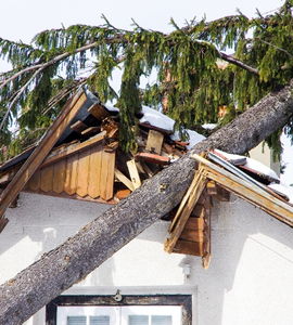 Poškozená střecha domu po pádu stromu