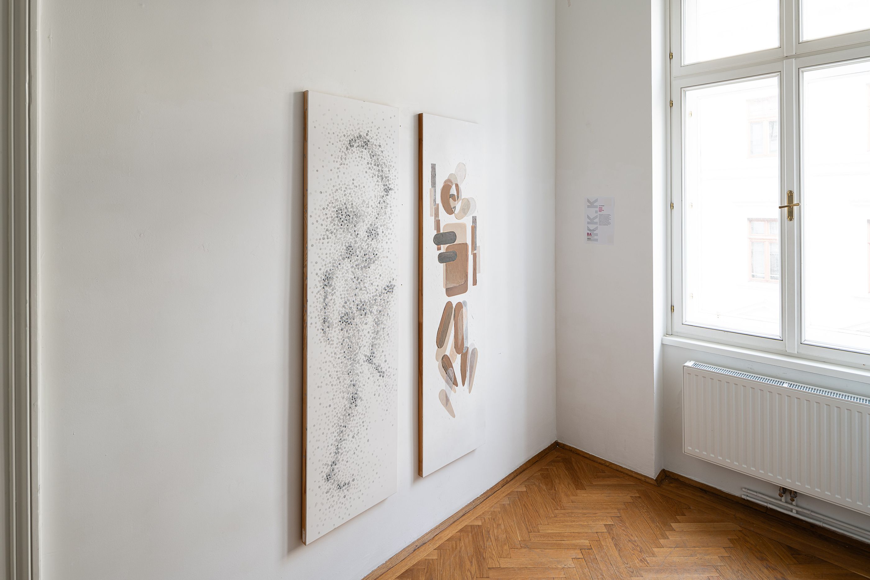'AAA Lisa Rohringer