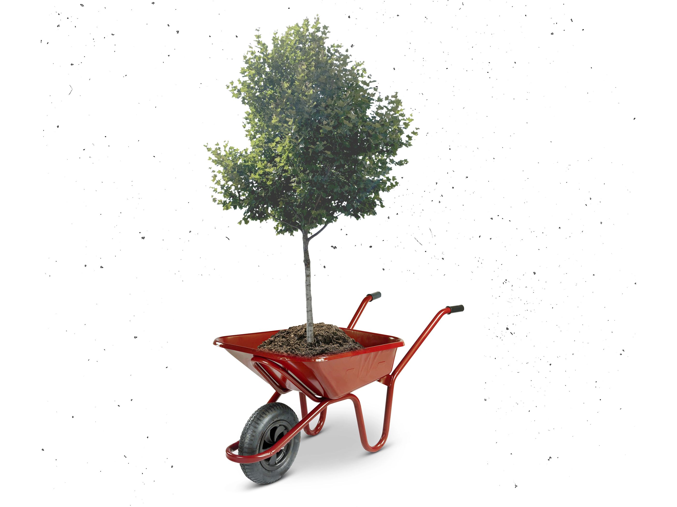 Angewandte Festival 2024 → Park the Trees