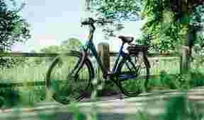 blauwe sparta e-bike a-shine m8b in natuur