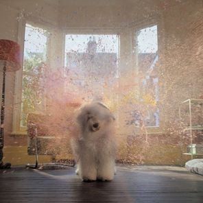 dulux life is what you paint it ogilvy uk