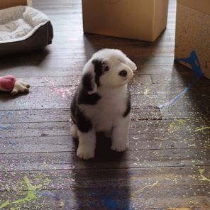 dulux life is what you paint it ogilvy uk