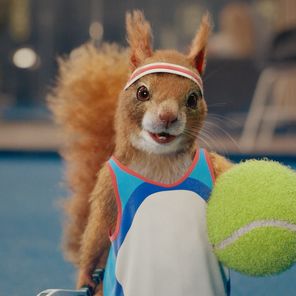 Savvy The Squirrel