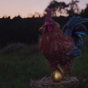 how much do you believe in chicken kfc mother