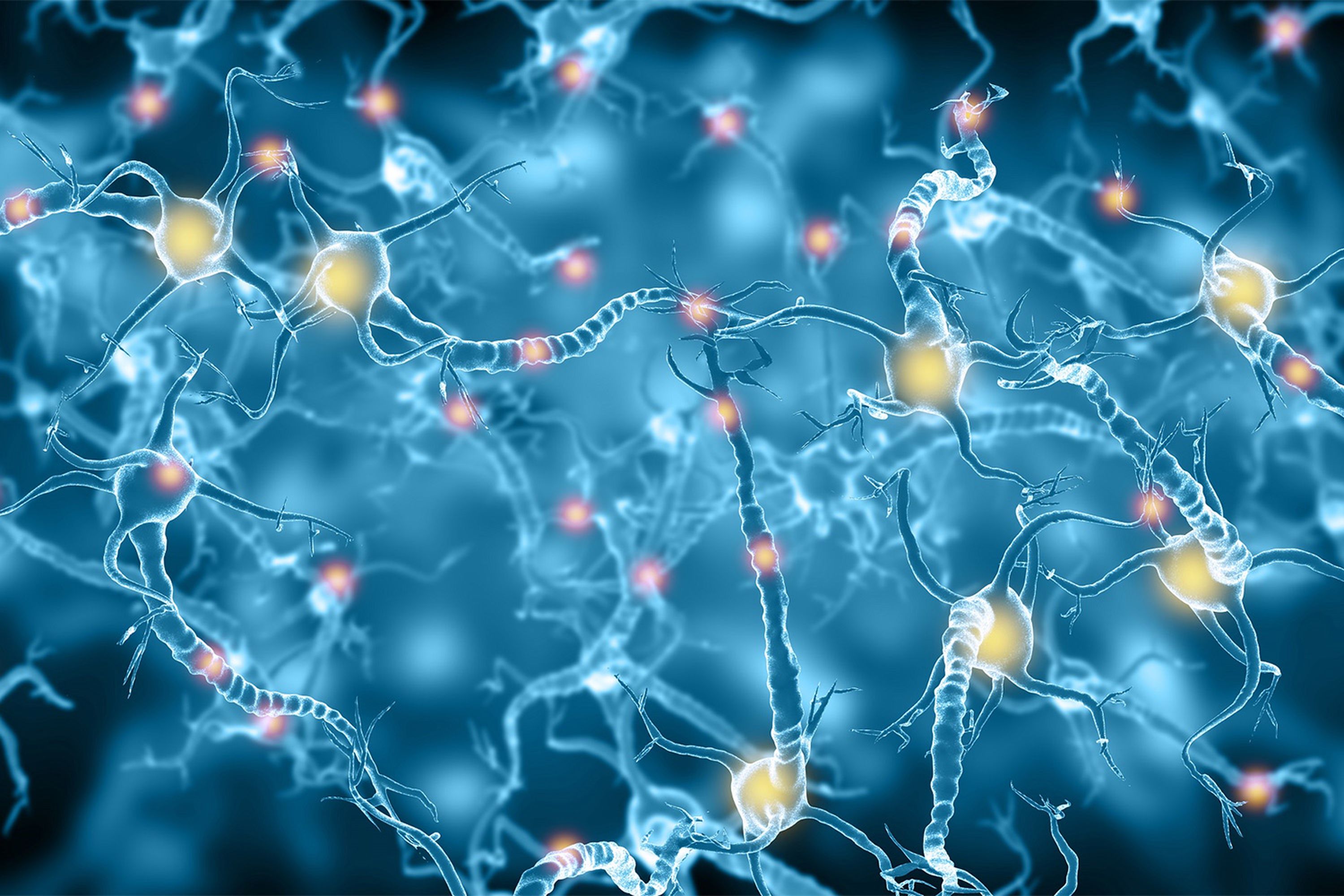 Netz von leuchtenden Nervenzellen