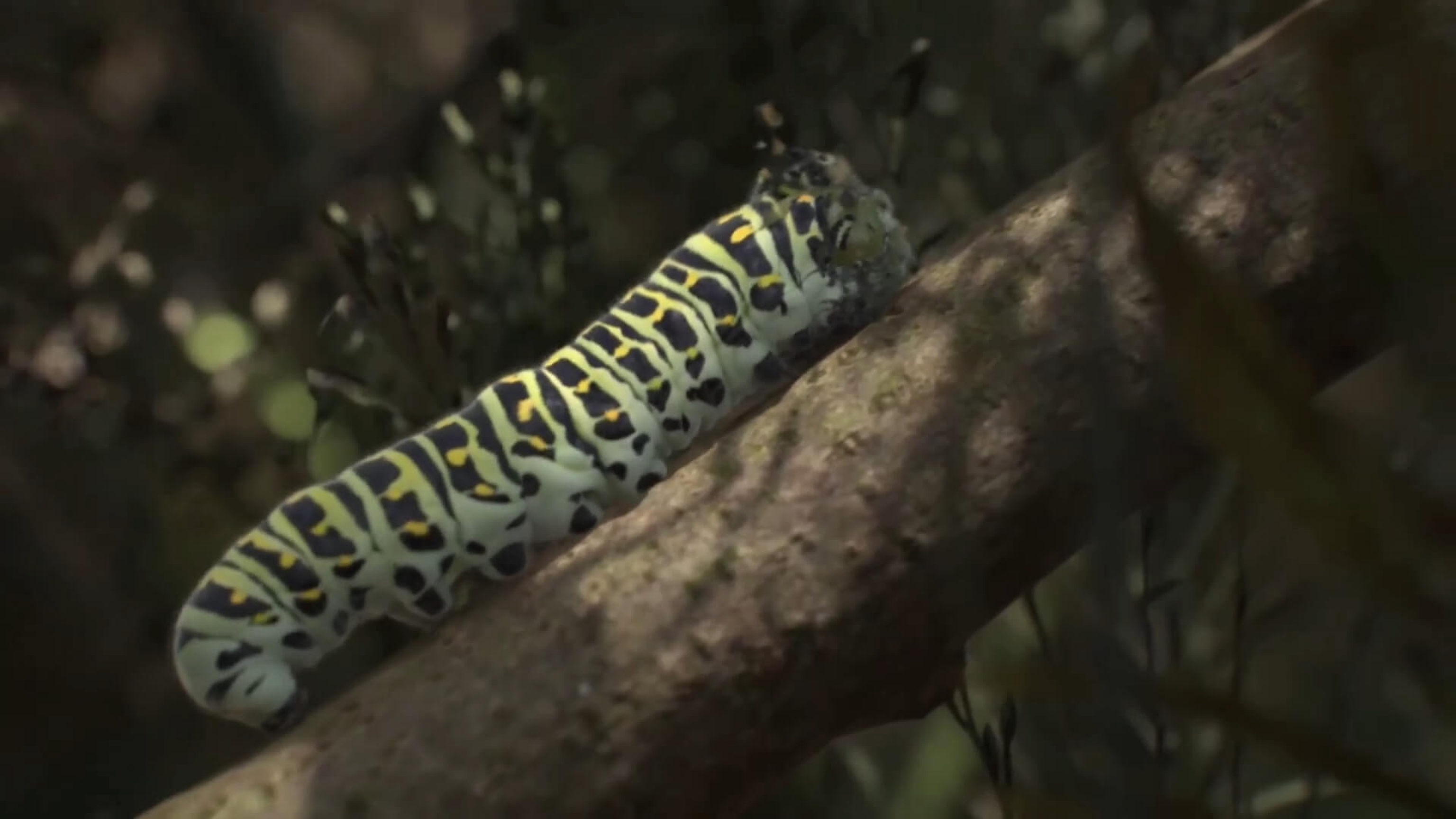 A realistic stripy caterpillar climbs a tree branch