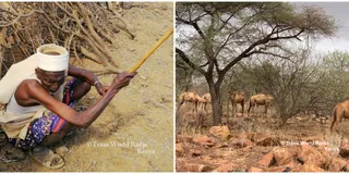 posts/sifa-fm-marsabsit-reporter-camels-death-story-wins-bbc-media-actions-climate-challenge