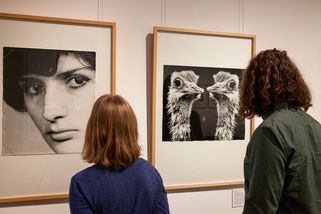 Zwei Personen von Hinten, die zwei Fotografien, mit einer Frau und zwei Straußen, an einer weißen Wand betrachten