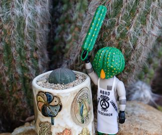 cactus man figurine and ceramic pot stand next to eachother in front of a cactus