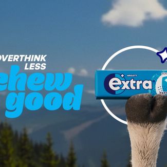 mars oefy total overthink of the head