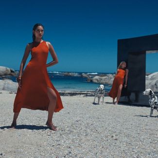 primark shockingly chic vccp