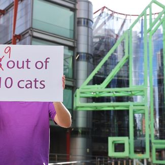 WHISKAS 9 out of 10 cats