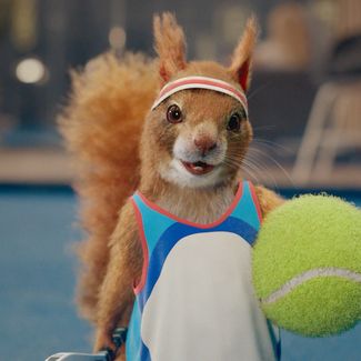 Savvy The Squirrel