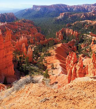 red canyons in bryce canyon national park