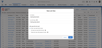 How to use Salesforce List Views - Name new list view