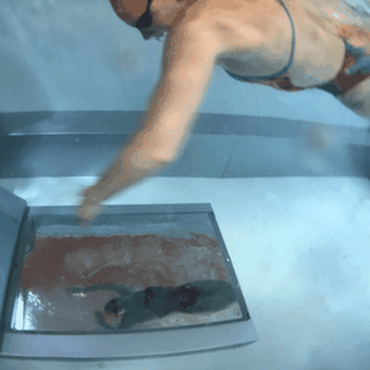 Why this Swimmer Fell "Head Over Heels" for Endless Pools Swim Mirrors