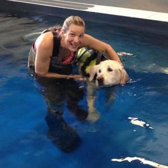 Swimming Therapy for the Dogs of Montana