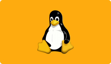 linux-firmware-update