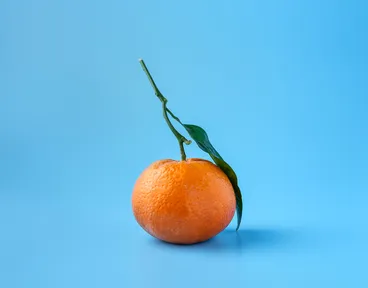 propiedades-naranja
