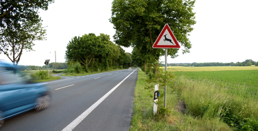 značka - pozor na zvěř na silnici