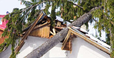 Poškozená střecha domu po pádu stromu