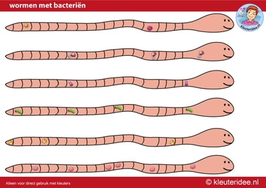 wormen met bacterien, themahoek kleuteridee.