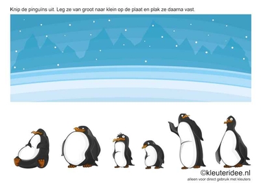 Knip de pinguïns uit. Leg ze van groot naar klein op de plaat en plak ze daarna vast. kleuteridee.nl , free printable.