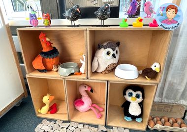 Vogelopvang themahoek, thema vogels voor kleuters, kindergarten bird role play kleuteridee 13