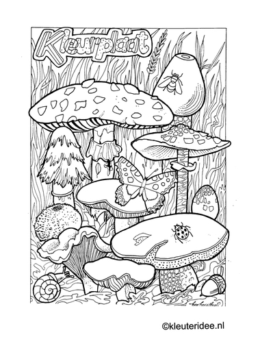 Kleurplaat herfst, paddestoelen, kleuteridee.nl , autumn, mushrooms preschool coloring.