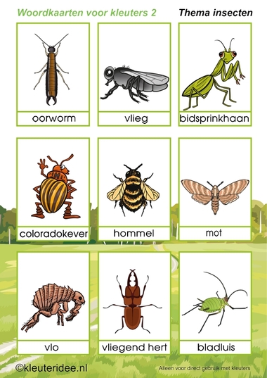 Woordkaarten 2 voor kleuters, thema insecten, kleuteridee, free printable.