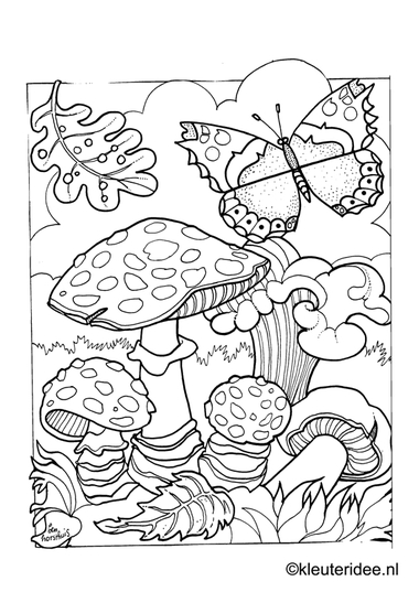 Kleurplaat vlinder, kleuteridee.nl ,butterfly preschool coloring.