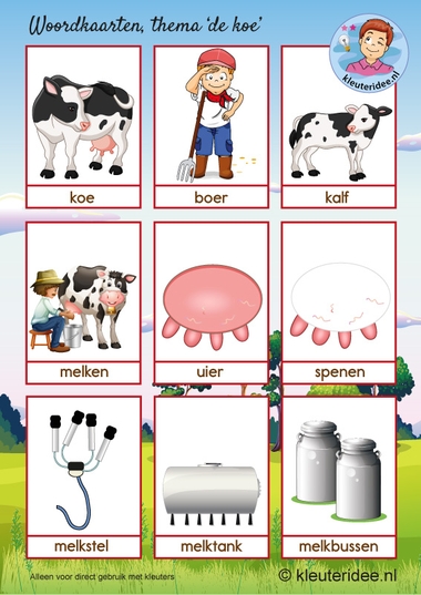 Woordkaarten 1 thema koe, kleuteridee, kleuters, cow theme Kindergarten.