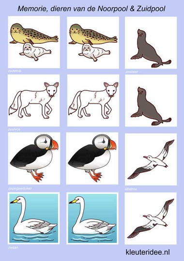 Memorie voor kleuters, dieren van de Noordpool en Zuidpool 2, kleuteridee.nl , Memorygame arctic animals, free printable.