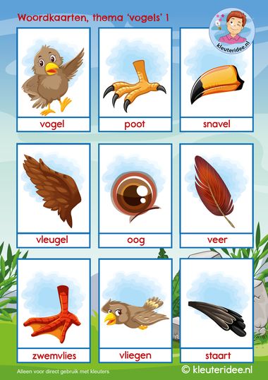 woordkaarten thema vogels 1, kleuteridee