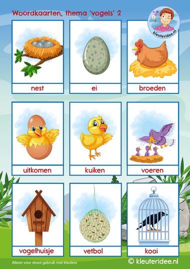 woordkaarten thema vogels 2, kleuteridee