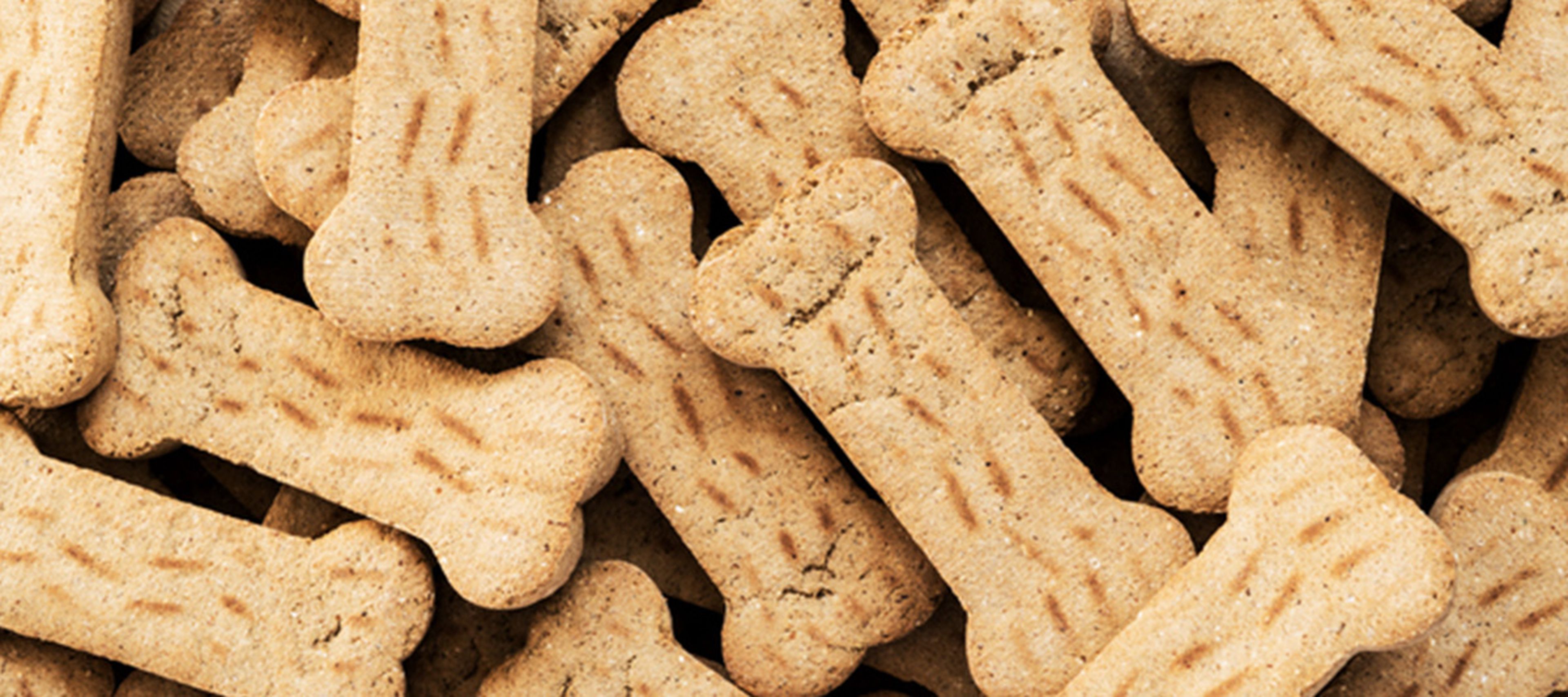 A close-up of a pile of bone-shaped dog treats.