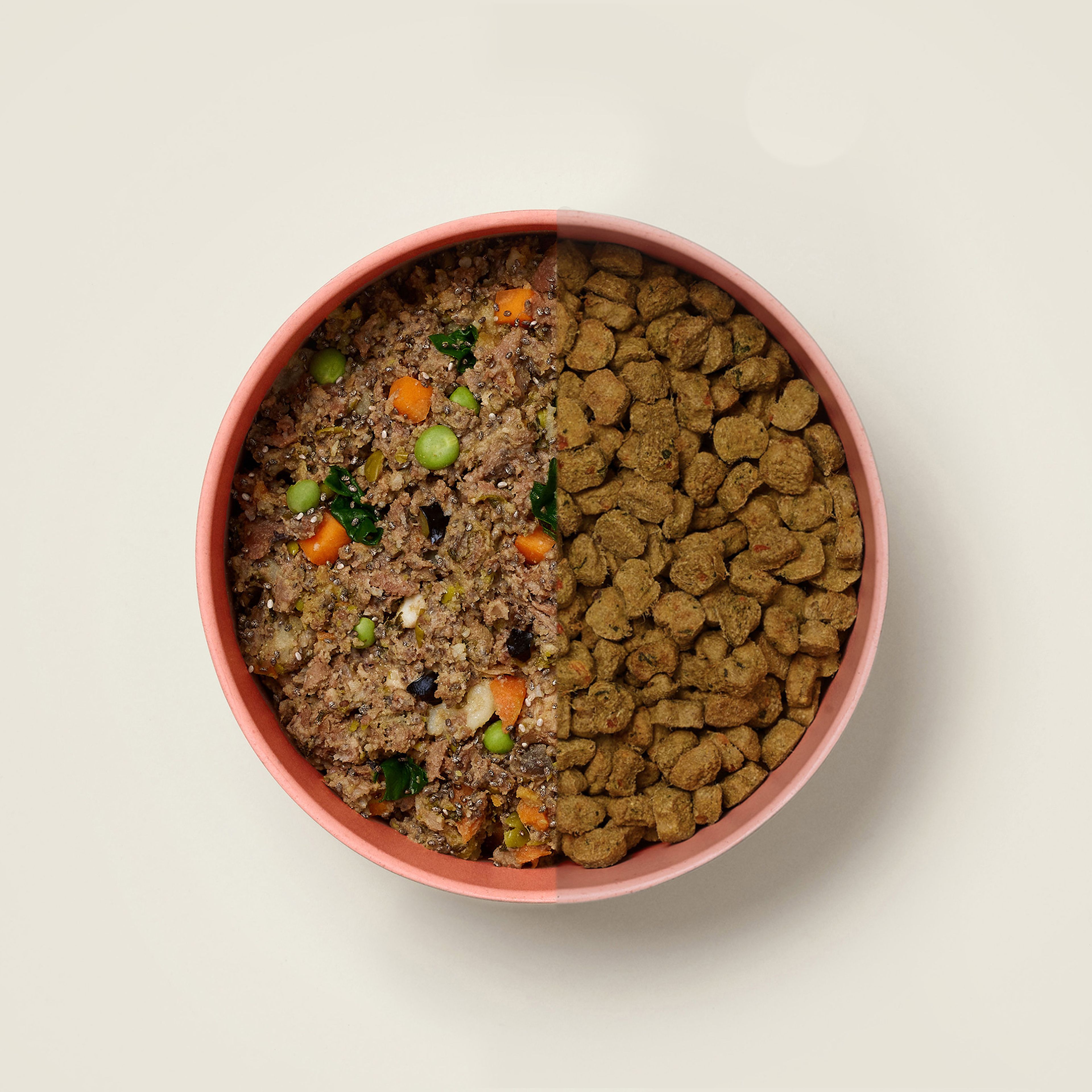Ollie mixed bowl with fresh beef and baked beef