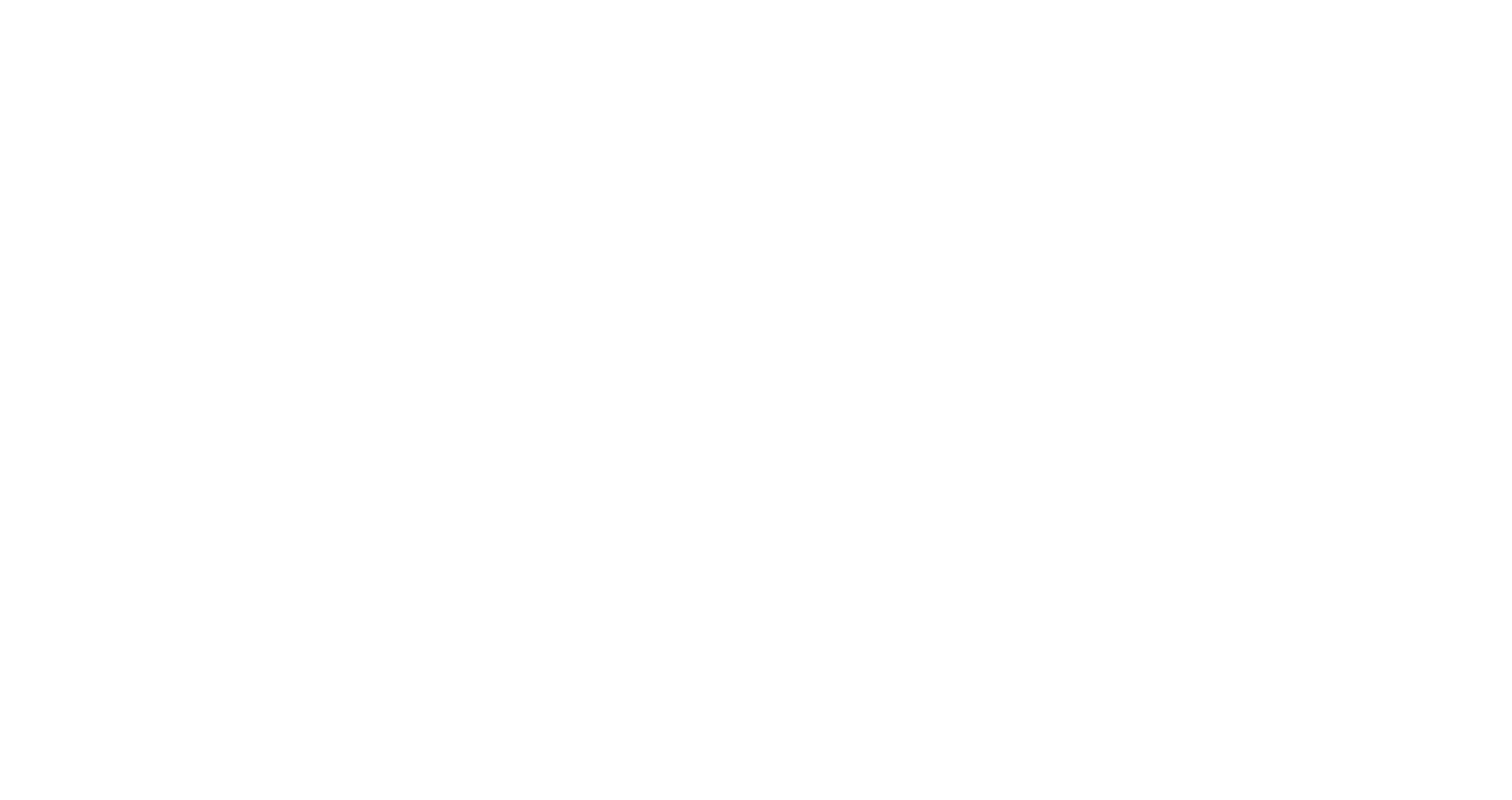 Connyct logo, a client of MassiveMusic's digital services