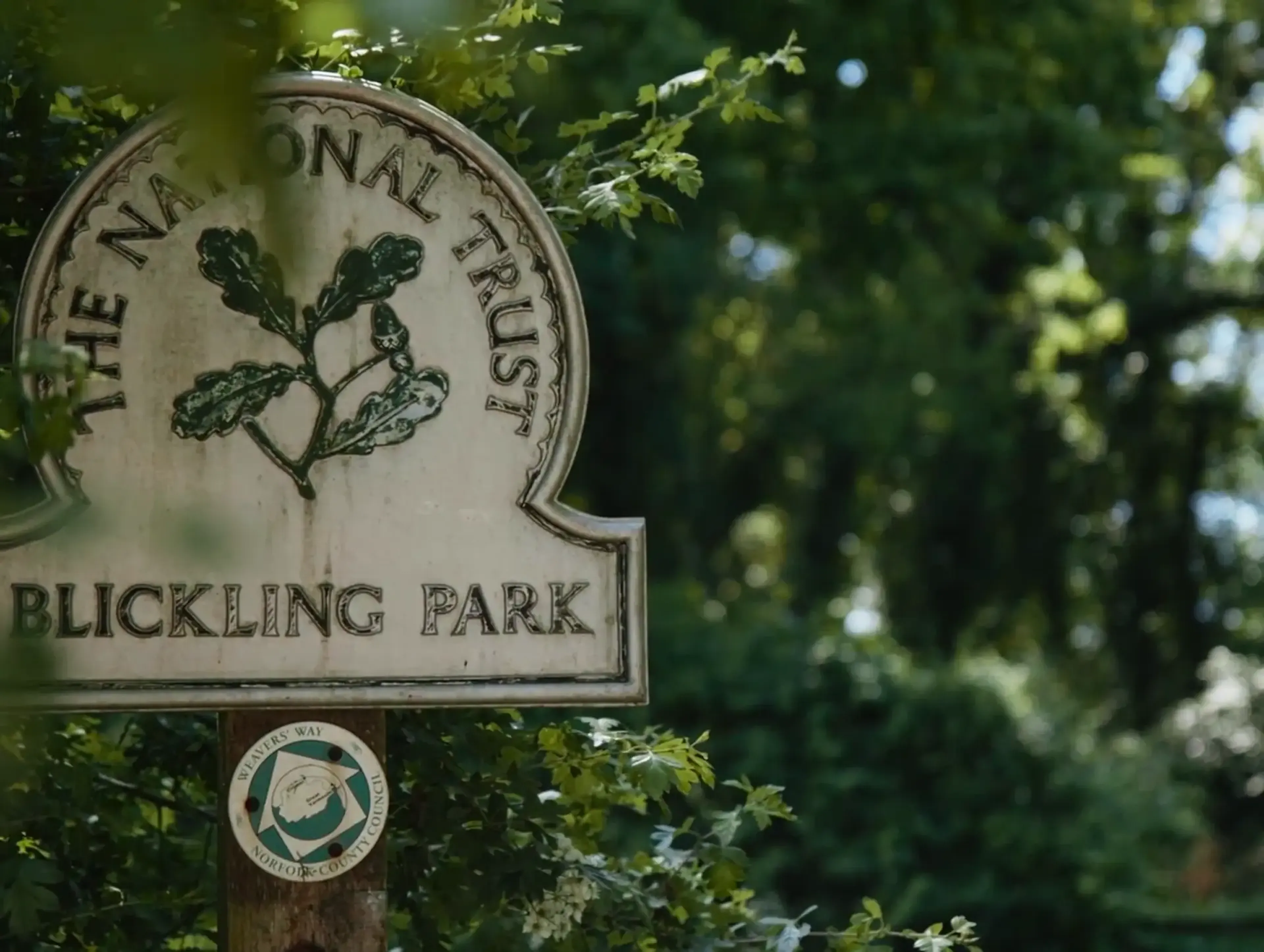 Close-up of the National Trust Blickling Park sign with oak leaf logo in greenery, Sound of National Trust