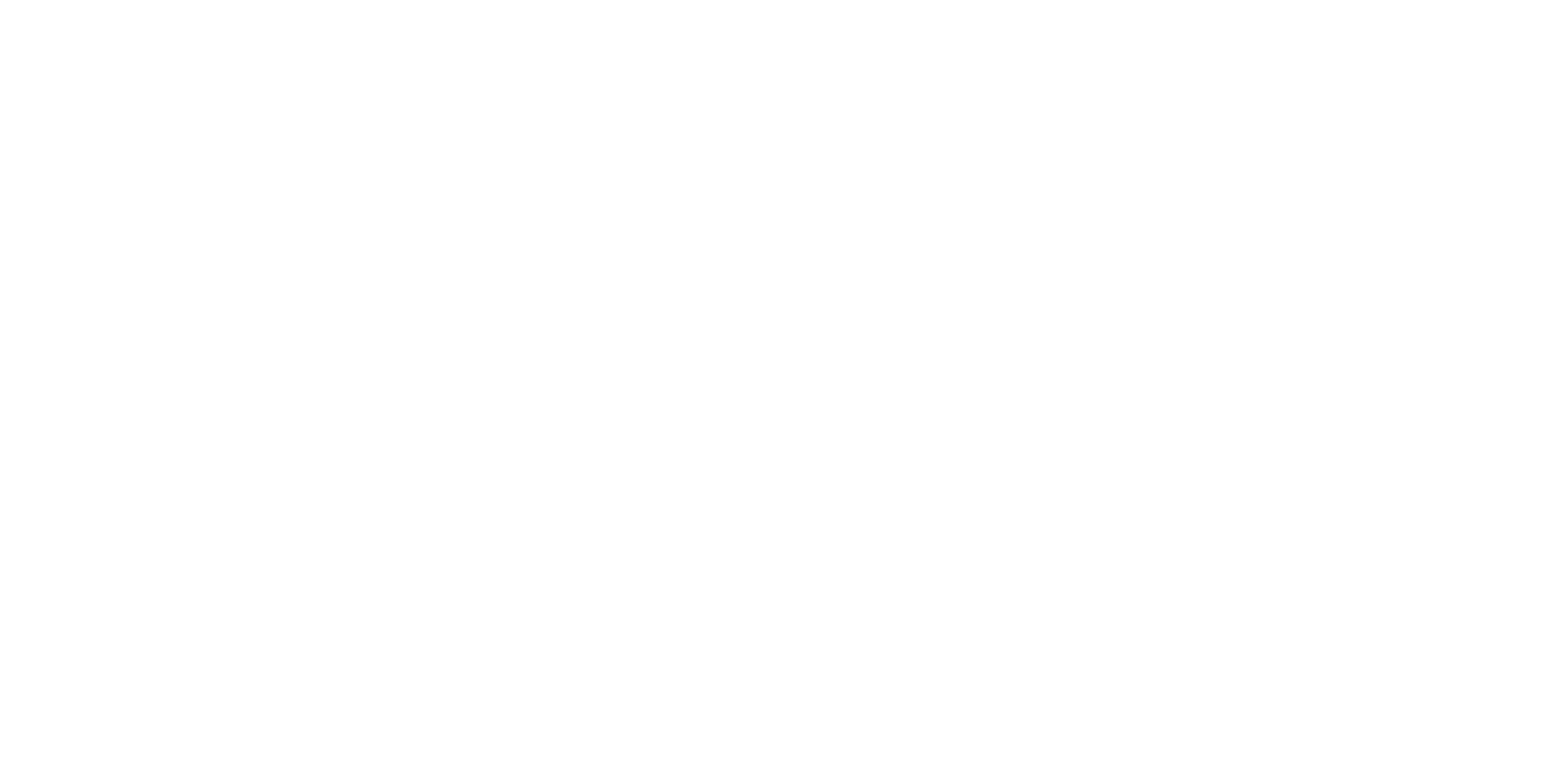 Connyct logo, a client of MassiveMusic's digital services